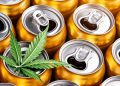 Health Canada: No Cannabis Soda For You! – Cannabis | Weed | Marijuana
