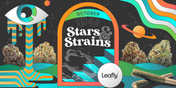 Star signs and cannabis strains: October 2024 horoscopes