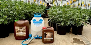 Five Lessons From a Colorado Grower Who Survived Cannabis’ Boom