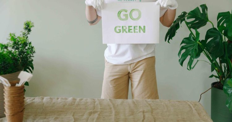 Could Hemp Bioplastic Replace Plastic?