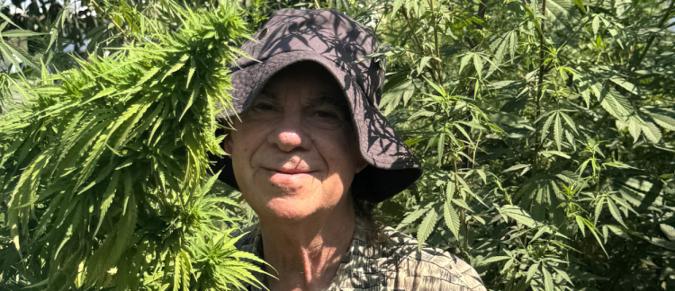 Cannabis Cured Me Twice, and I’ll Show You My Medical Records