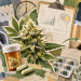 Cannabis Withdrawal Treatment: Experimental Drug Shows Promise in Small Trial
