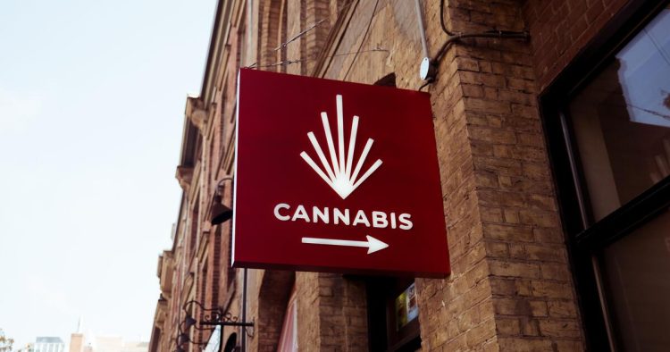 How Will Cannabis Now Be Regulated in Thailand?