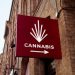How Will Cannabis Now Be Regulated in Thailand?
