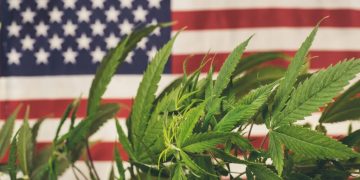 Cannabis voter guide to the 2026 midterm elections