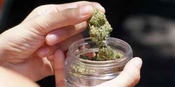 Are You Sure You’re Not Committing a Crime? The Supreme Court Ruling That Put Spain’s CBD Flower Industry on Edge and United the Entire Sector