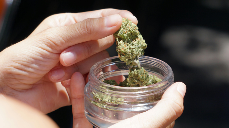 Are You Sure You’re Not Committing a Crime? The Supreme Court Ruling That Put Spain’s CBD Flower Industry on Edge and United the Entire Sector