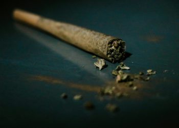Most Pre-Rolls Suck. Josh Kesselman Thinks He Found the Fix, and He Wants the Industry to Copy Him.
